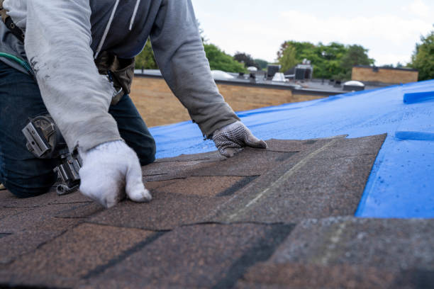 Fast & Reliable Emergency Roof Repairs in Taylor, MI